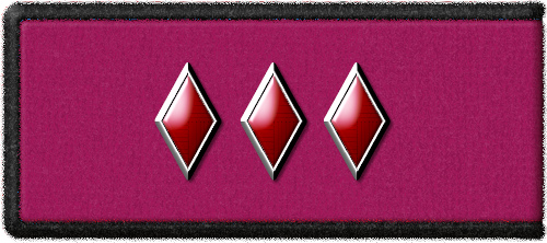 Петлица военных юристов образца 1924 г. (малиновая)