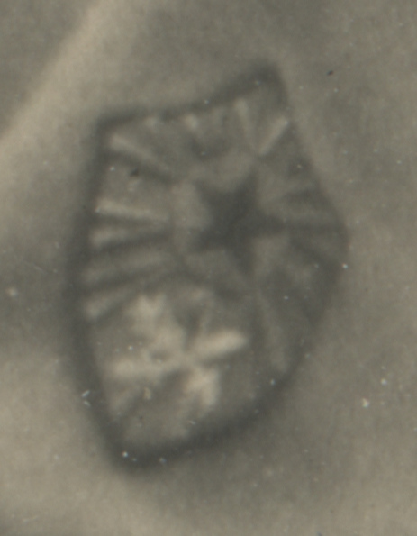 Выкадровка нарукавного знака РВТ