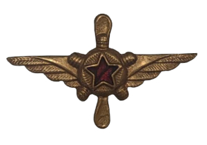 Эмблема ИТС в авиации