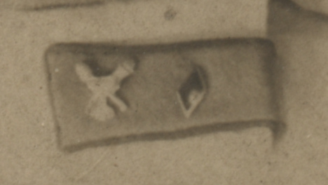 Выкадровка петлицы военного ветеринара РККА со значком образца 1922 г.