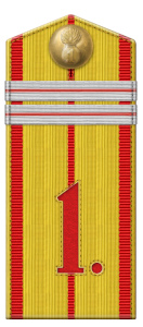 Рисунок 1. Погон младшего унтер-офицера 1-го 
	Учебного карабинерного полка (1843-1855 гг.)