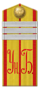 Рисунок 3. Погон старшего унтер-офицера или 
	равного ему по званию нестроевого старшего разряда постоянного состава Рижского учебного унтер-офицерского батальона (1904-1909 гг.).