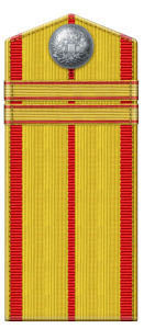 Рисунок 9. Погон младшего унтер-офицера или 
	равного ему по званию нестроевого старшего разряда из числа нижних чинов постоянного состава Офицерской электротехнической школы или Запасного электротехнического батальона 
	(1914-1917 гг.)