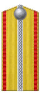 Рисунок 12. Погон отделенного ефрейтора из 
	числа воспитанников Аудиторского училища (1854-1860 гг.)