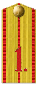 Рисунок 13. Погон нижнего чина рядового звания 
	1-го Учебного морского экипажа (1837-1856 гг.)