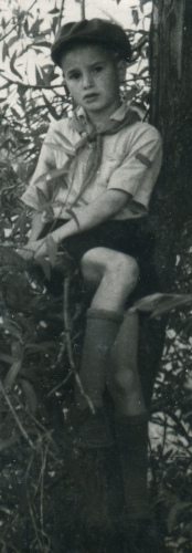 Рисунок 3. Пример ношения знаков различия 
	вожатым звена/членом совета отряда