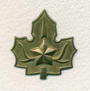 Металлический знак SIJ на головной убор (размер 31 х 30 мм).